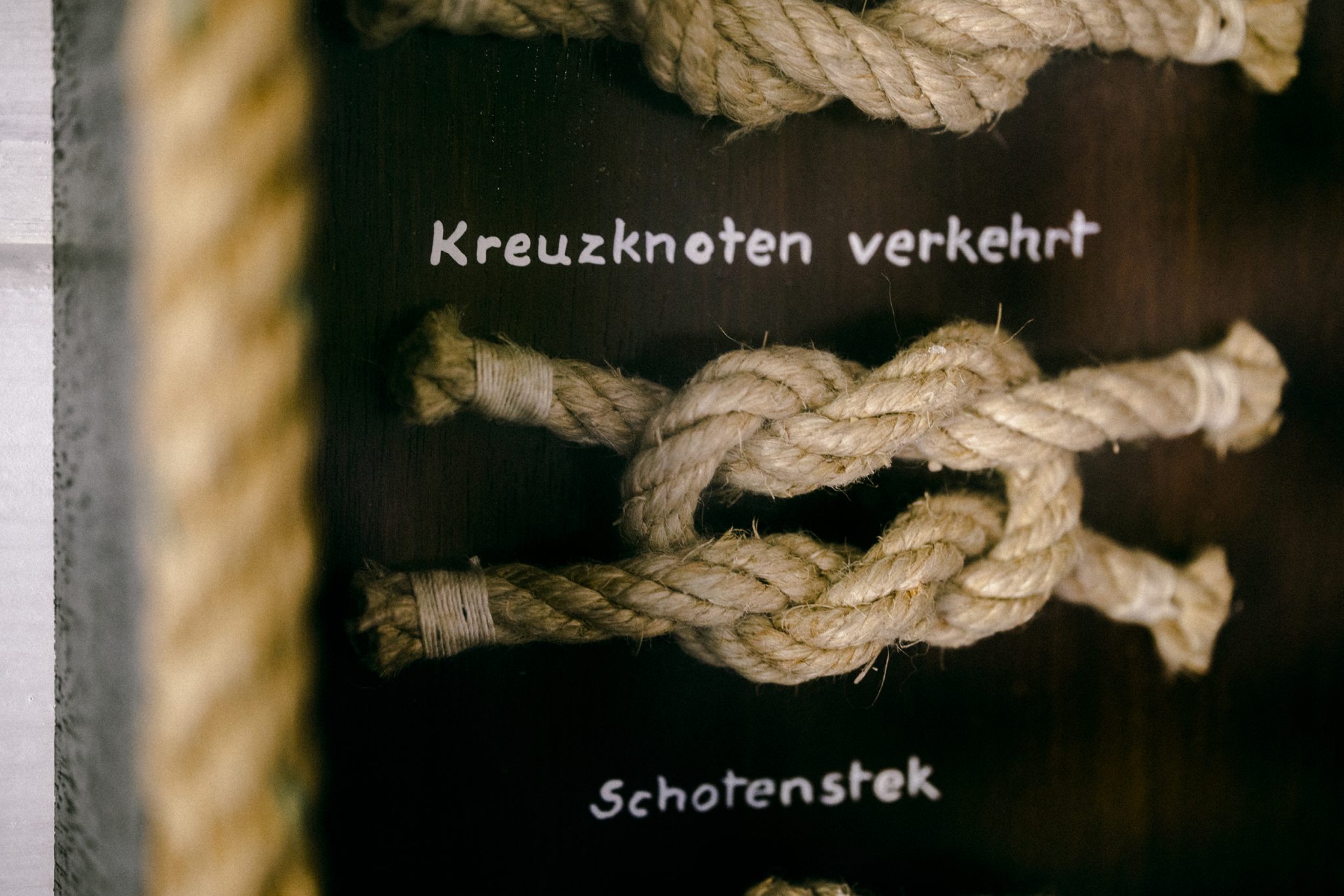 Wie wird man eigentlich… Skipper? CREVELT Das Magazin für Krefeld